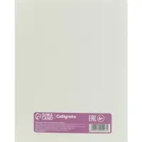 Набор тетрадей из 5 штук, 96 листов в линейку Calligrata &laquo;Цветы&raquo;, блок офсет, 4 В