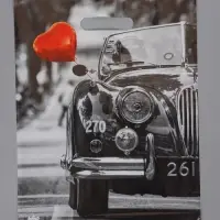 Пакет подарочный Раритет  40 х 31 см 60 мкм