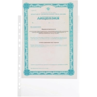 Файл-вкладыш А4 30 мкм&nbsp; Выбор есть,&nbsp;гладкие с перф, 100шт/уп