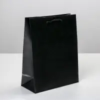 Пакет подарочный ламинированный, упаковка, &laquo;Чёрный&raquo;, MS 18&times;23&times;8 см