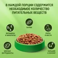 Сухой корм KiteKat &laquo;Мясной пир&raquo; для кошек, 15 кг