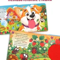 Тактильная книга &laquo;Потрогай и погладь. На ферме&raquo;, 7 вставок
