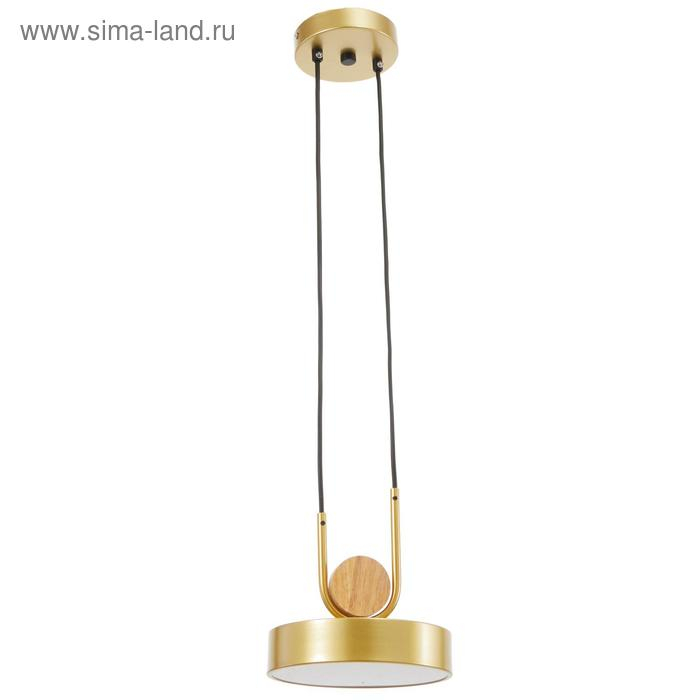 Светильник BayerLux 35425/1 LED 24Вт 3000-6000К золотой 18х18х20 см