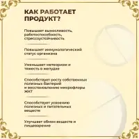 Пробиотик 60 миллиардов Vitamuno Pro, 60 таблеток