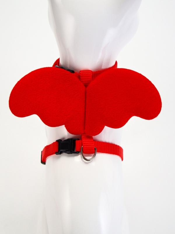 Комплект амуниции "Ангел", размер XS, шлейка 19-26 см, поводок 120 х 1 см, красный