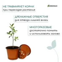 Горшок для рассады, 1.5 л, d=15.5 см, h=12.5 см, мягкий пластик, терракот, Greengo