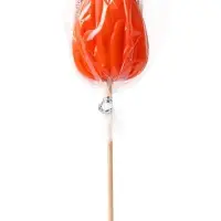 Карамель леденцовая &laquo;Цветы Botanical&raquo; на палочке, 30 г