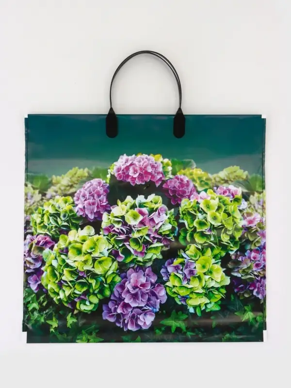 Пакет "Веранда", полиэтиленовый с пластиковой ручкой, 37х34 см, 80 мкм