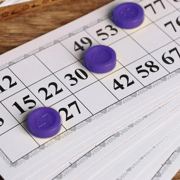 Русское лото &laquo;Любимое&raquo;, 24 карточки, 90 фишек, МИКС