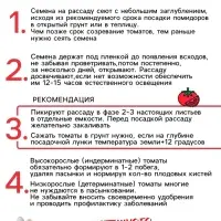 Семена Томат «Верлиока», индетерминатный, высокорослый, 0.05 г