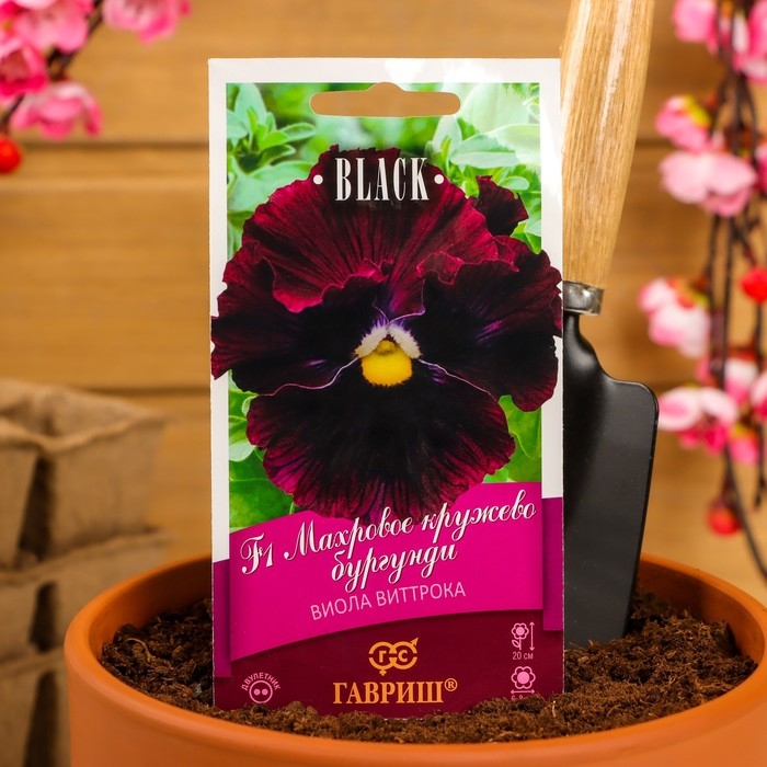 Семена цветов Виола  Семена цветов Виола "Махровое кружево", ц/п,  4 шт.