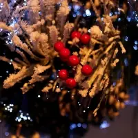 Венок фиброоптический «Заснеженный», d=50 см, 8 режимов Венок фиброоптический «Заснеженный», d=50 см, 8 режимов