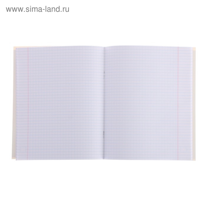 Тетрадь 48 листов в клетку Calligrata Meow, обложка мелованный картон, блок офсет, МИКС