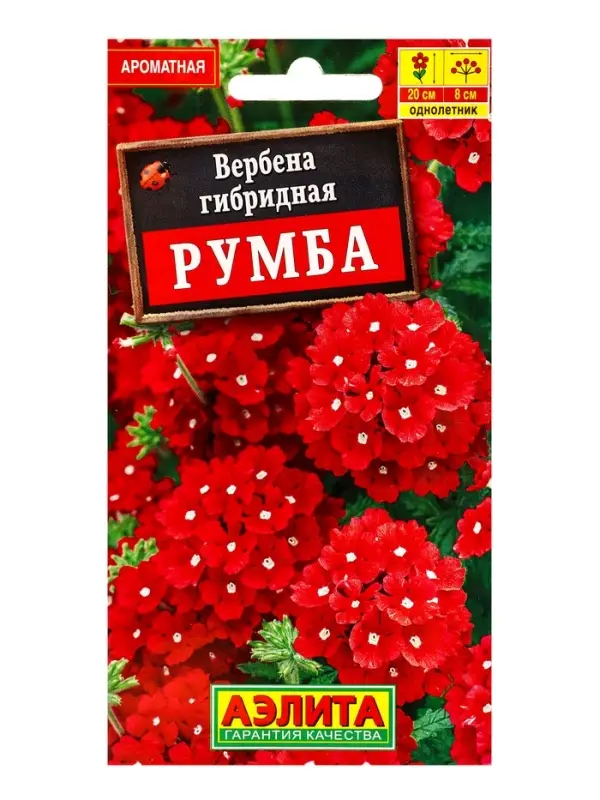 Семена цветов Вербена Румба , Ц/П,0,05 г Семена цветов Вербена Румба , Ц/П,0,05 г