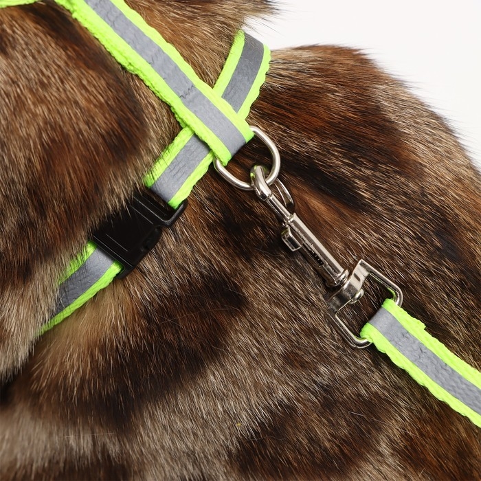 Комплект со светоотражающей лентой, ошейник 120 х 1 см, ОГ 26-40 см, зеленый Комплект со светоотражающей лентой, ошейник 120 х 1 см, ОГ 26-40 см, зеленый