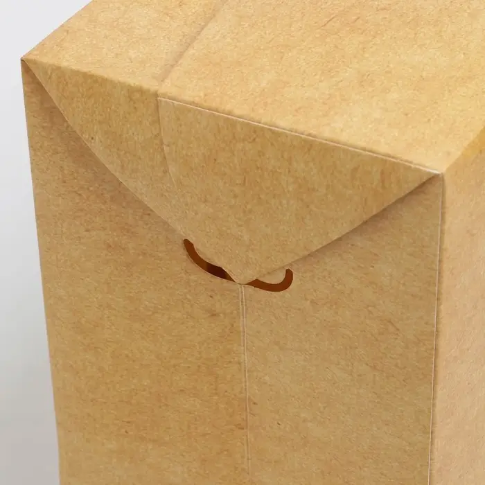 Пакет—коробка «Крафтовый», 28 × 20 × 13 см Пакет—коробка «Крафтовый», 28 × 20 × 13 см
