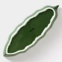 Блюдо сервировочное Доляна «Лист», 25×9×2,8 см, цвет зелёный