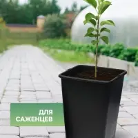 Горшок для рассады, 7 л, 21&times;21&times;27.5 см, чёрный