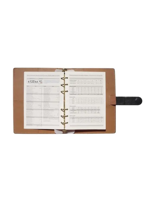 Органайзер на кольцах, C6, с хлястиком, 80л, линия, к/зам, Черный Органайзер на кольцах, C6, с хлястиком, 80л, линия, к/зам, Черный