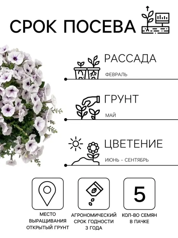 Семена цветов Петуния гибридная &laquo;Пендолино Виолет Айс&raquo; 5 шт.