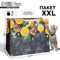 Пакет подарочный новогодний ламинированный &laquo;С Новым годом&raquo;, XL 49&times;40&times;19 см
