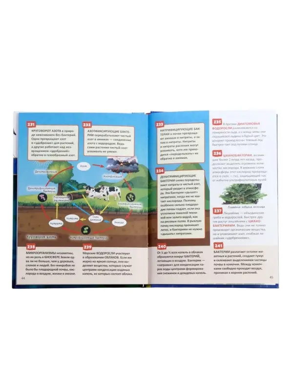 Энциклопедия российского школьника &laquo;Микромир&raquo;