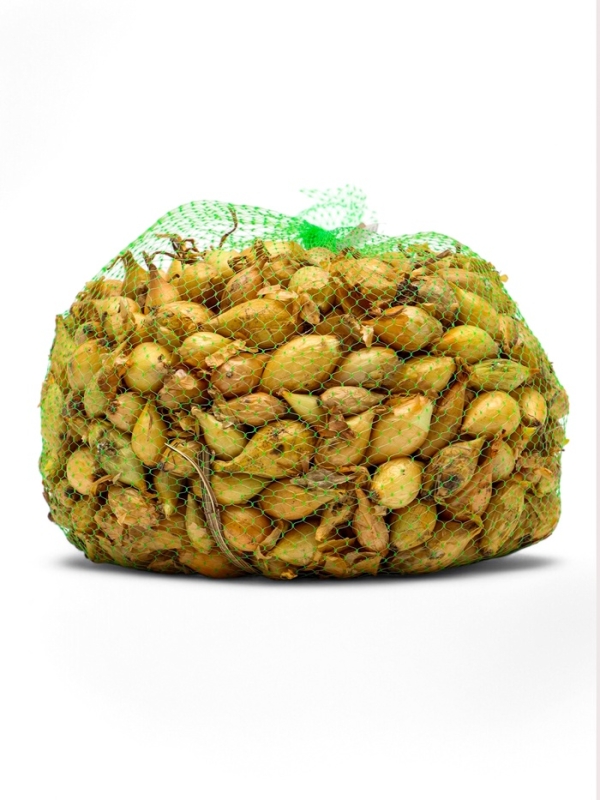 Лук севок Стурон , р-р 18-21, 2 кг, Весна 2025 Лук севок Стурон , р-р 18-21, 2 кг, Весна 2025