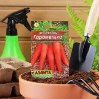 Семена Морковь &laquo;Карамелька&raquo;, 2 г, &laquo;Аэлита&raquo;