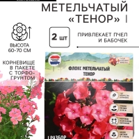 Флокс метельчатый «Тенор», корневище в пакете с торфогрунтом, р-р I, 2 шт.