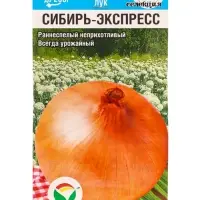 Семена Лук репчатый &laquo;Сибирь-Экспресс&raquo;, 1 г, &laquo;Сибирский Сад&raquo;