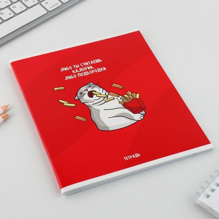 Тетрадь в клетку, 48 листов А5 на скрепке МИКС «1 сентября: Котики», обложка мелованный картон 230 гр внутренний блок №1, белизна 96% Тетрадь в клетку, 48 листов А5 на скрепке МИКС «1 сентября: Котики», обложка мелованный картон 230 гр внутренний блок №1, белизна 96%