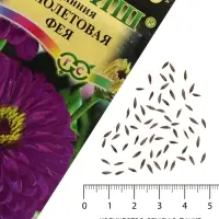 Семена цветов Цинния "Фиолетовая фея", ц/п,  0,3 г
