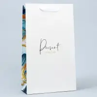Пакет подарочный под две бутылки, упаковка, &laquo;Present for you&raquo;, 35&times;20&times;9 см