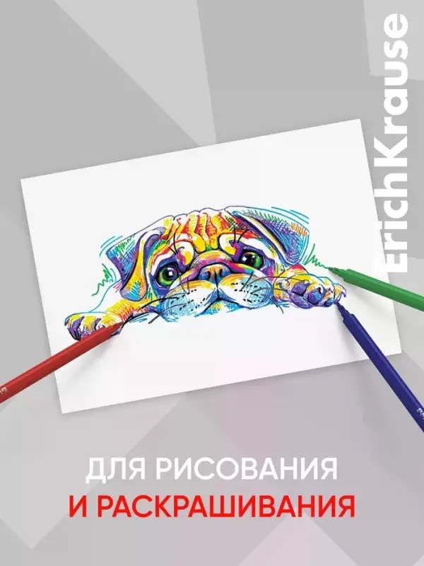 Фломастеры 12 цветов ErichKrause Prima Cat, европодвес