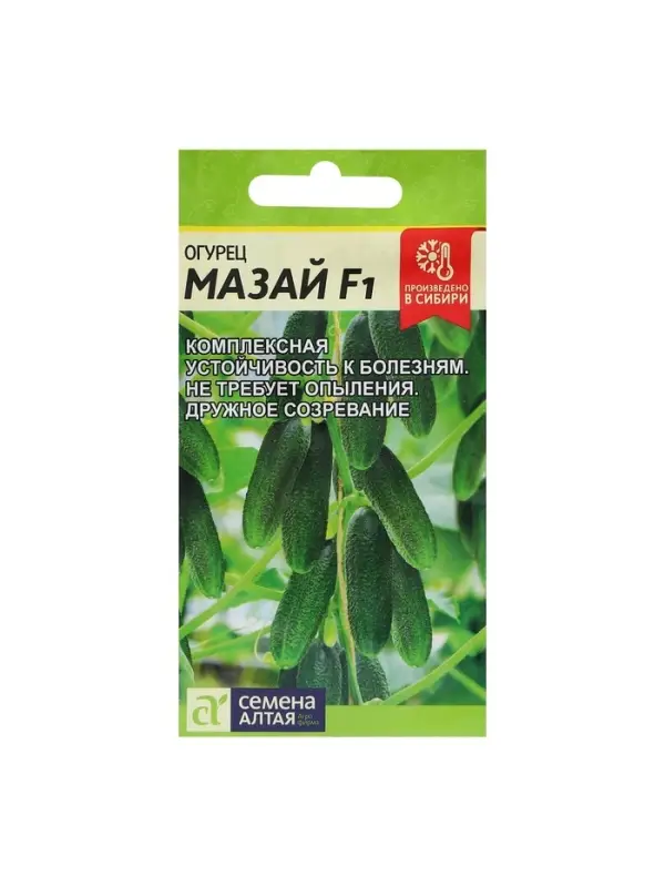 Семена Огурец &laquo;Мазай&raquo;, раннеспелый, партенокарпический, 5 шт., &laquo;Семена Алтая&raquo;