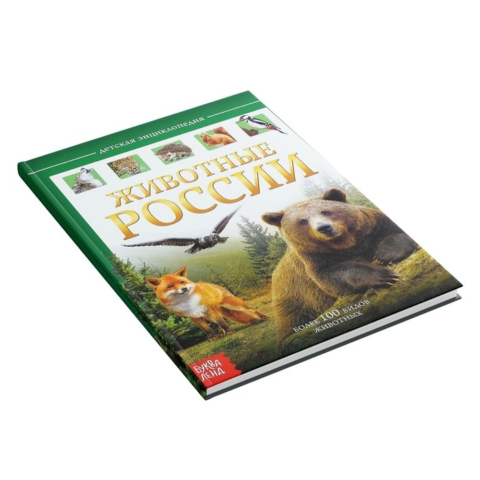 Детская энциклопедия в твёрдом переплёте «Животные России», 48 стр. Детская энциклопедия в твёрдом переплёте «Животные России», 48 стр.