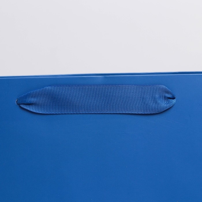 Пакет подарочный ламинированный, упаковка, «Синий», M 26 х 30 х 9 см