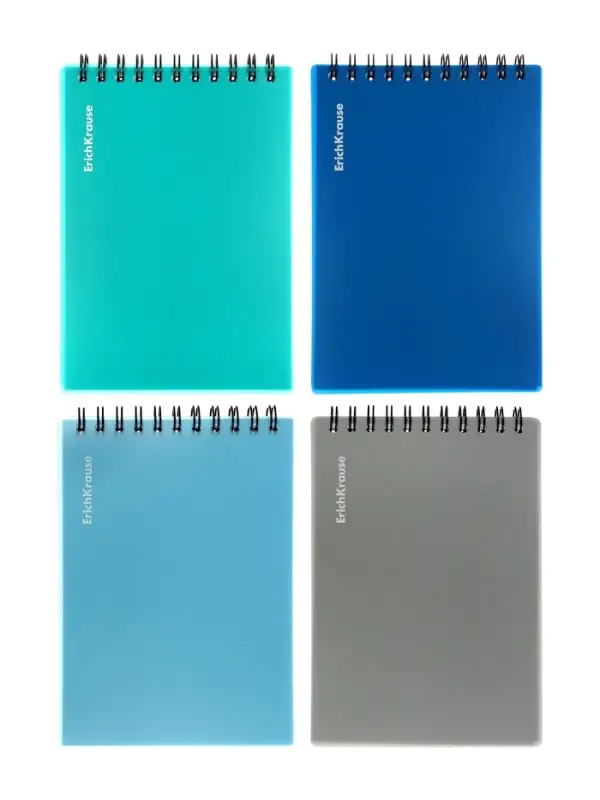 Блокнот А6 ErichKrause Ice Metallic, 80 листов в клетку, МИКС
