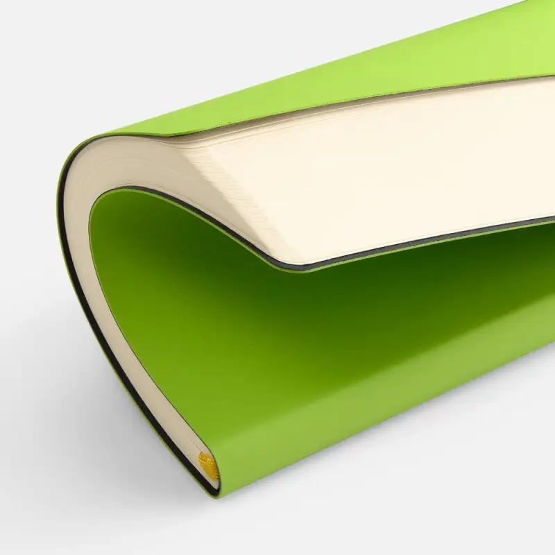 Ежедневник Flex Shall New, недатированный, светло-зеленый Ежедневник Flex Shall New, недатированный, светло-зеленый