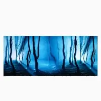 Фон для аквариума и террариума, 50&times;115 см, двухсторонний