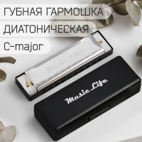 Губная гармошка Music Life, диатоническая, C-major, с футляром, серебристая