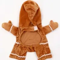 Костюм "Новогодняя печенька", M (ДС 25 , ОГ 37 см)