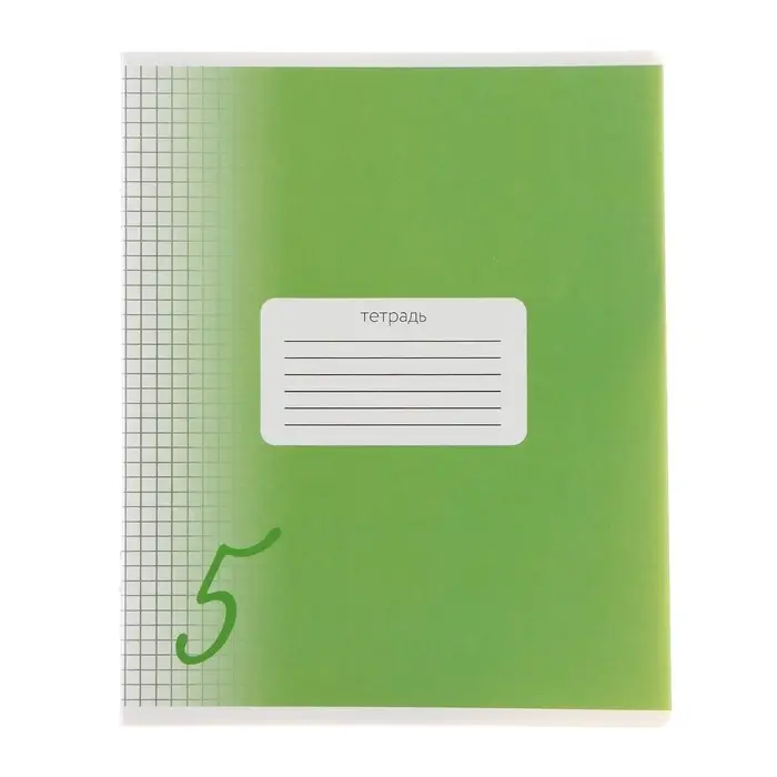 Тетрадь 18 листов в клетку Calligrata "Пятёрка", обложка мелованный картон, блок офсет, белизна 95%, МИКС
