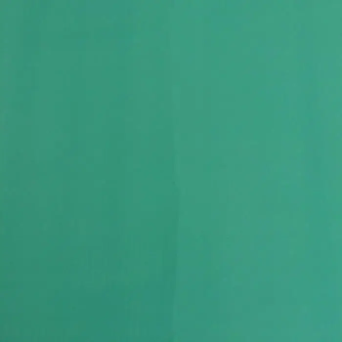 Пленка для цветов Пленка для цветов "Золотая полоса", изумрудный, 58 х 58 см