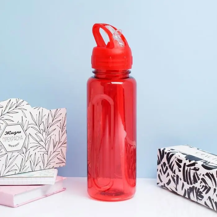 Бутылка для воды спортивная, 650 мл, "Бараолт", с поильником, 24 х 7 см, микс
