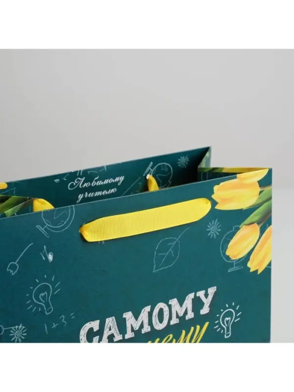 Пакет подарочный ламинированный, упаковка, «Самому Лучшему Учителю», ML 27 х 23 х 11.5 см