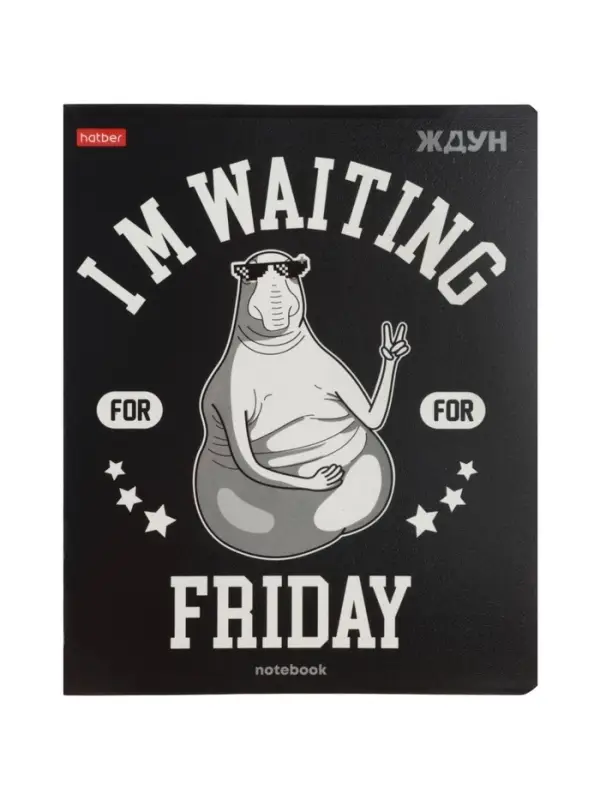 Тетрадь 48л кл Hatber "ЖДУН", на скобе, скругл углы, выб лак, 60-65г/м&sup2; 5В МИКС