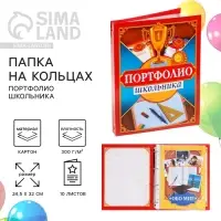 Папка школьная на кольцах &laquo;Портфолио школьника&raquo;, 13 листов-разделителей, 24.5&times;32 см