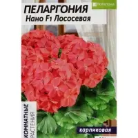 Семена цветов Пеларгония "Нано", ц/п,  "Лососевая", ц/п,  3 шт Семена цветов Пеларгония "Нано", ц/п,  "Лососевая", ц/п,  3 шт