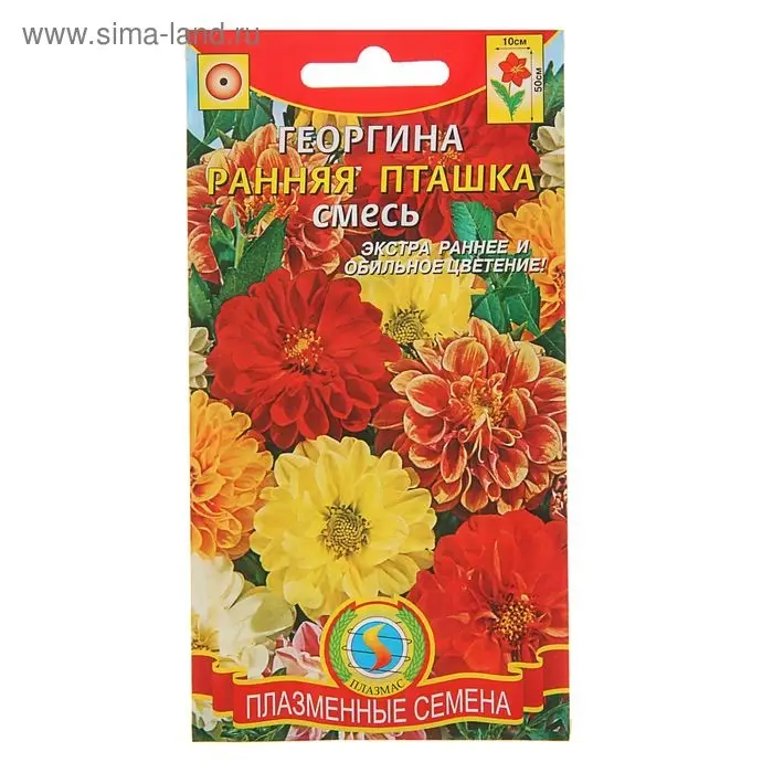 Семена Георгина  Семена Георгина "Ранняя пташка", смесь, 12 шт